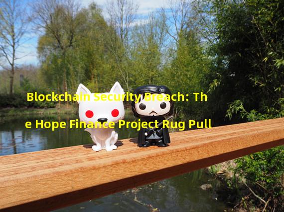 Blockchain Security Breach: The Hope Finance Project Rug Pull 