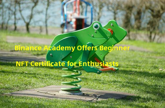 Binance Academy Offers Beginner NFT Certificate for Enthusiasts