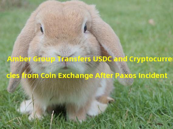 Amber Group Transfers USDC and Cryptocurrencies from Coin Exchange After Paxos Incident