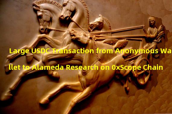 Large USDC Transaction from Anonymous Wallet to Alameda Research on 0xScope Chain