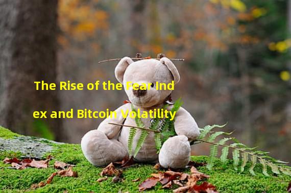 The Rise of the Fear Index and Bitcoin Volatility