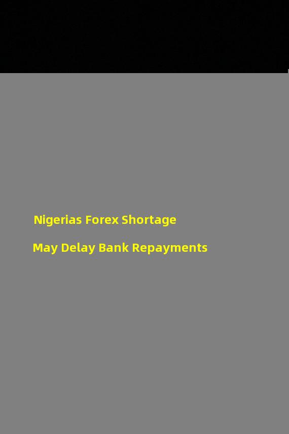 Nigerias Forex Shortage May Delay Bank Repayments 