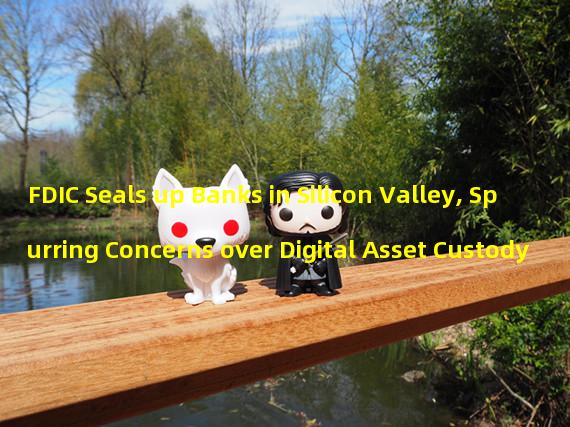 FDIC Seals up Banks in Silicon Valley, Spurring Concerns over Digital Asset Custody 
