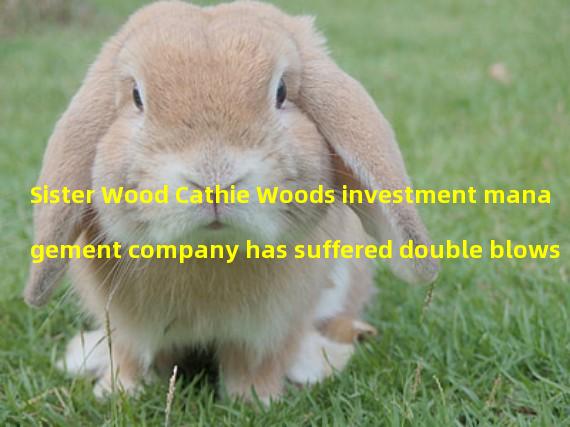 Sister Wood Cathie Woods investment management company has suffered double blows