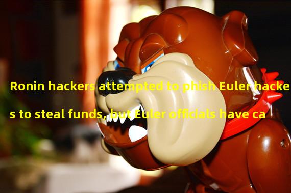 Ronin hackers attempted to phish Euler hackers to steal funds, but Euler officials have called for intervention
