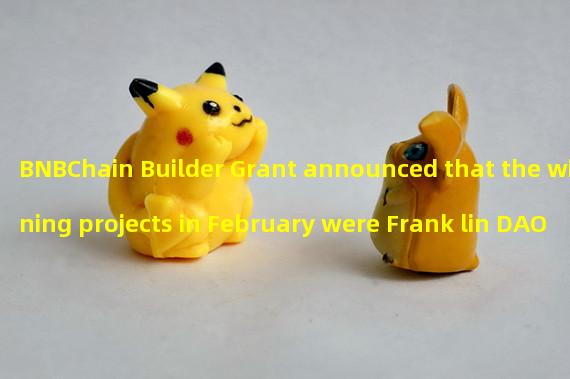 BNBChain Builder Grant announced that the winning projects in February were Frank lin DAO and identity.com