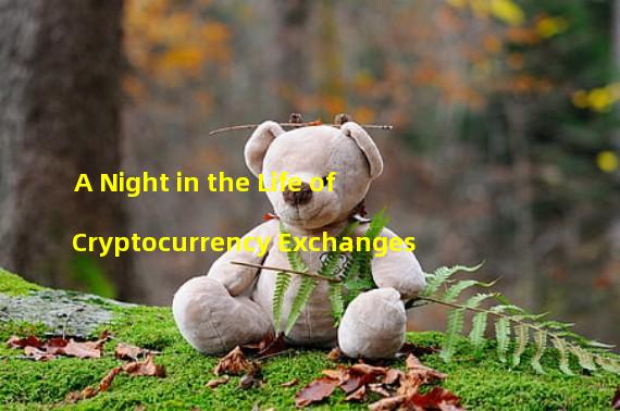 A Night in the Life of Cryptocurrency Exchanges 