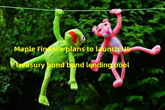 Maple Finance plans to launch US treasury bond bond lending pool