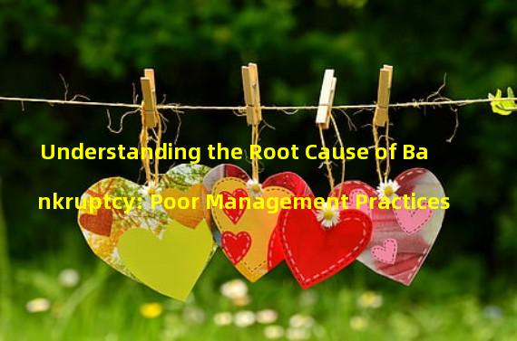 Understanding the Root Cause of Bankruptcy: Poor Management Practices