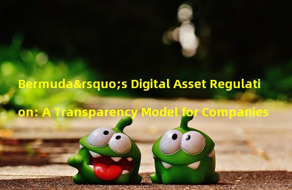 Bermuda’s Digital Asset Regulation: A Transparency Model for Companies