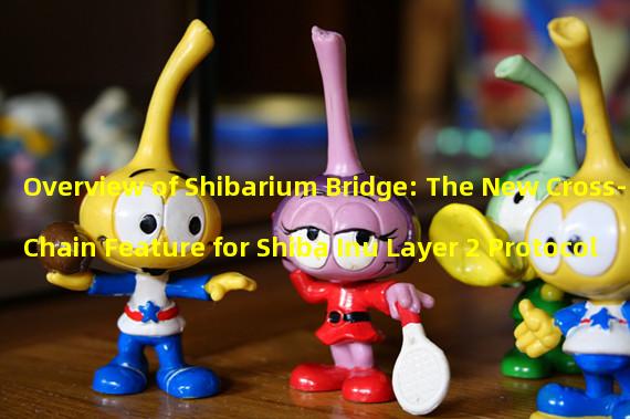 Overview of Shibarium Bridge: The New Cross-Chain Feature for Shiba Inu Layer 2 Protocol