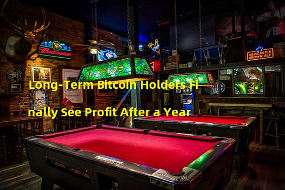 Long-Term Bitcoin Holders Finally See Profit After a Year