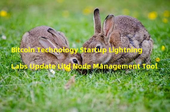 Bitcoin Technology Startup Lightning Labs Update Litd Node Management Tool