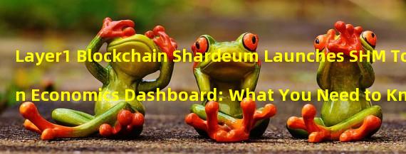 Layer1 Blockchain Shardeum Launches SHM Token Economics Dashboard: What You Need to Know