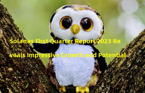 Solanas First Quarter Report 2023 Reveals Impressive Growth and Potential