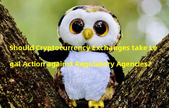 Should Cryptocurrency Exchanges take Legal Action against Regulatory Agencies?