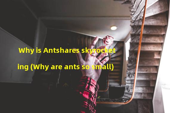 Why is Antshares skyrocketing (Why are ants so small)
