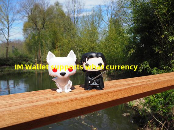 IM Wallet supports what currency