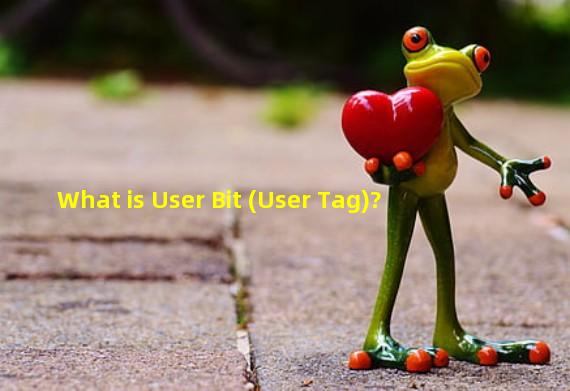 What is User Bit (User Tag)?