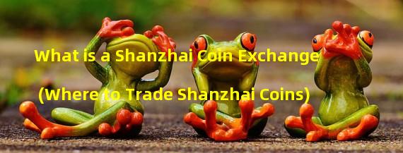 What is a Shanzhai Coin Exchange (Where to Trade Shanzhai Coins)