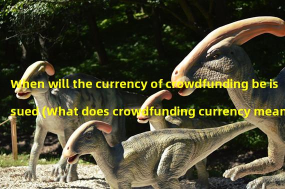 When will the currency of crowdfunding be issued (What does crowdfunding currency mean)? 