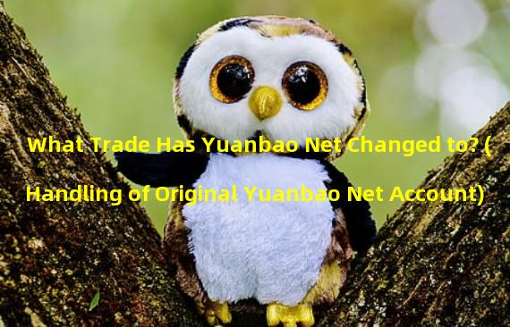 What Trade Has Yuanbao Net Changed to? (Handling of Original Yuanbao Net Account)
