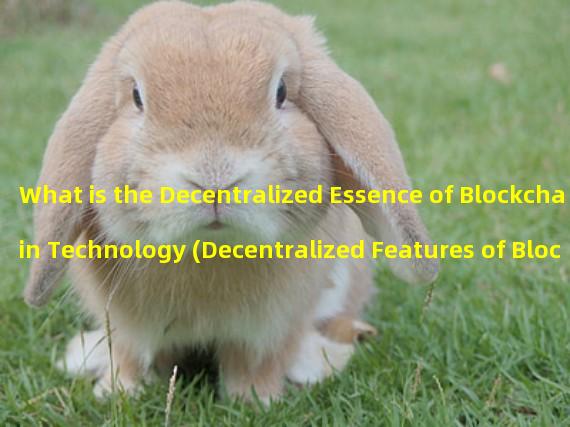 What is the Decentralized Essence of Blockchain Technology (Decentralized Features of Blockchain)