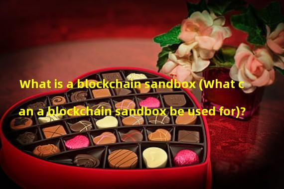 What is a blockchain sandbox (What can a blockchain sandbox be used for)?