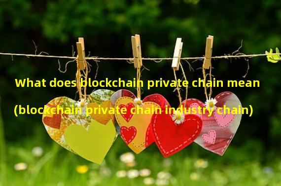 What does blockchain private chain mean (blockchain private chain industry chain)