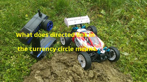 What does directed link in the currency circle mean?