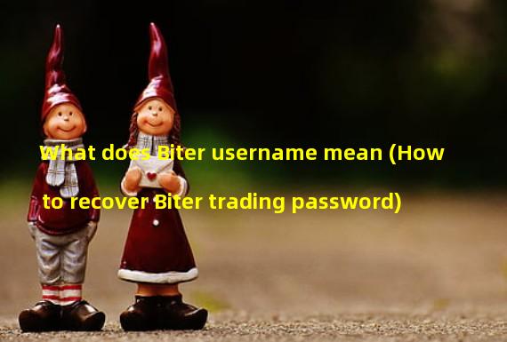 What does Biter username mean (How to recover Biter trading password)