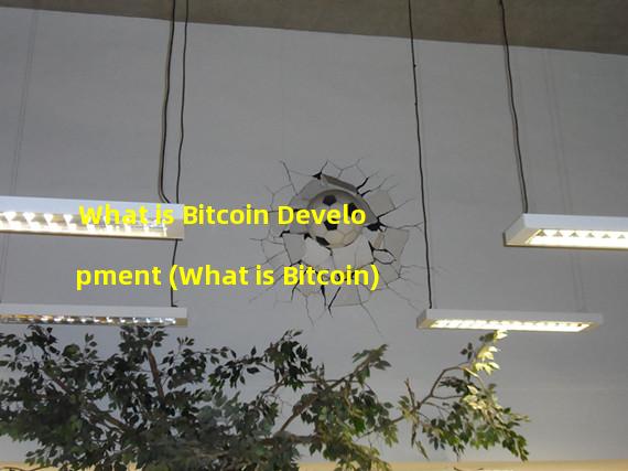 What is Bitcoin Development (What is Bitcoin)