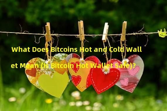 What Does Bitcoins Hot and Cold Wallet Mean (Is Bitcoin Hot Wallet Safe)?