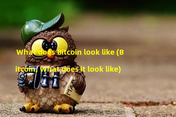 What does Bitcoin look like (Bitcoin, What does it look like)