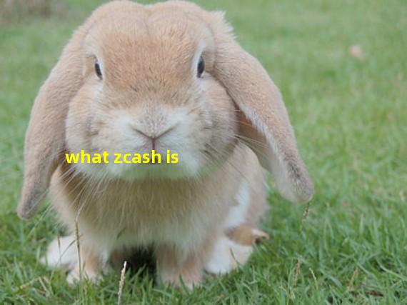 what zcash is