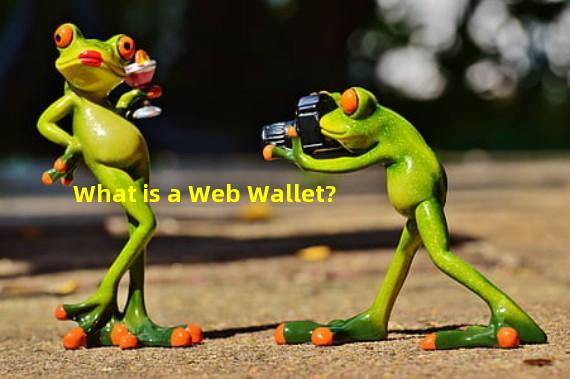What is a Web Wallet?