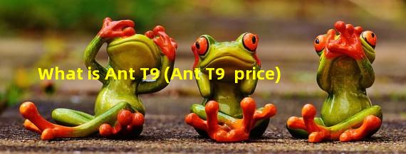 What is Ant T9 (Ant T9+ price)