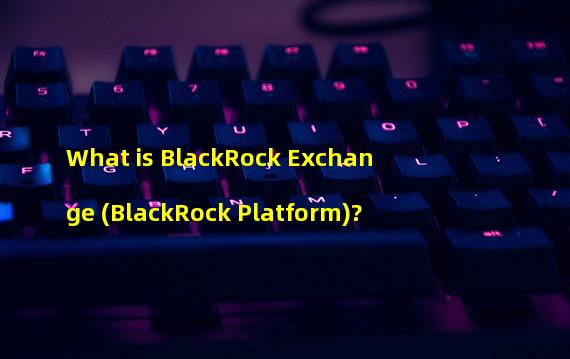 What is BlackRock Exchange (BlackRock Platform)?