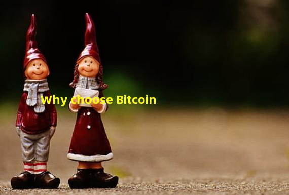 Why choose Bitcoin