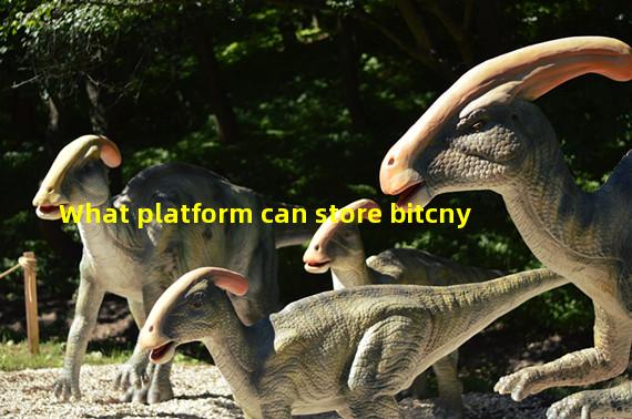 What platform can store bitcny