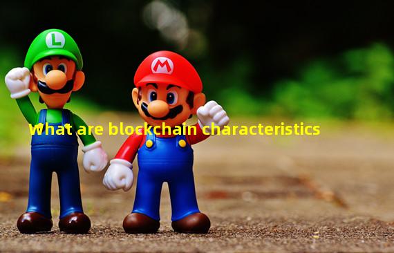 What are blockchain characteristics