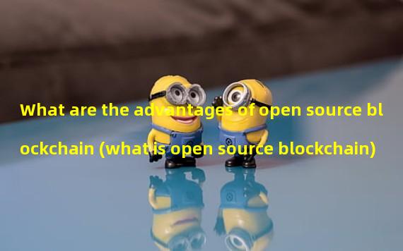 What are the advantages of open source blockchain (what is open source blockchain)