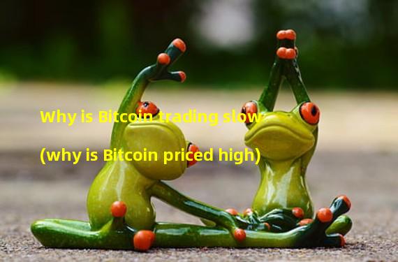 Why is Bitcoin trading slow (why is Bitcoin priced high)