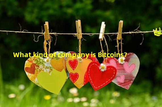 What kind of company is Bitcoins?